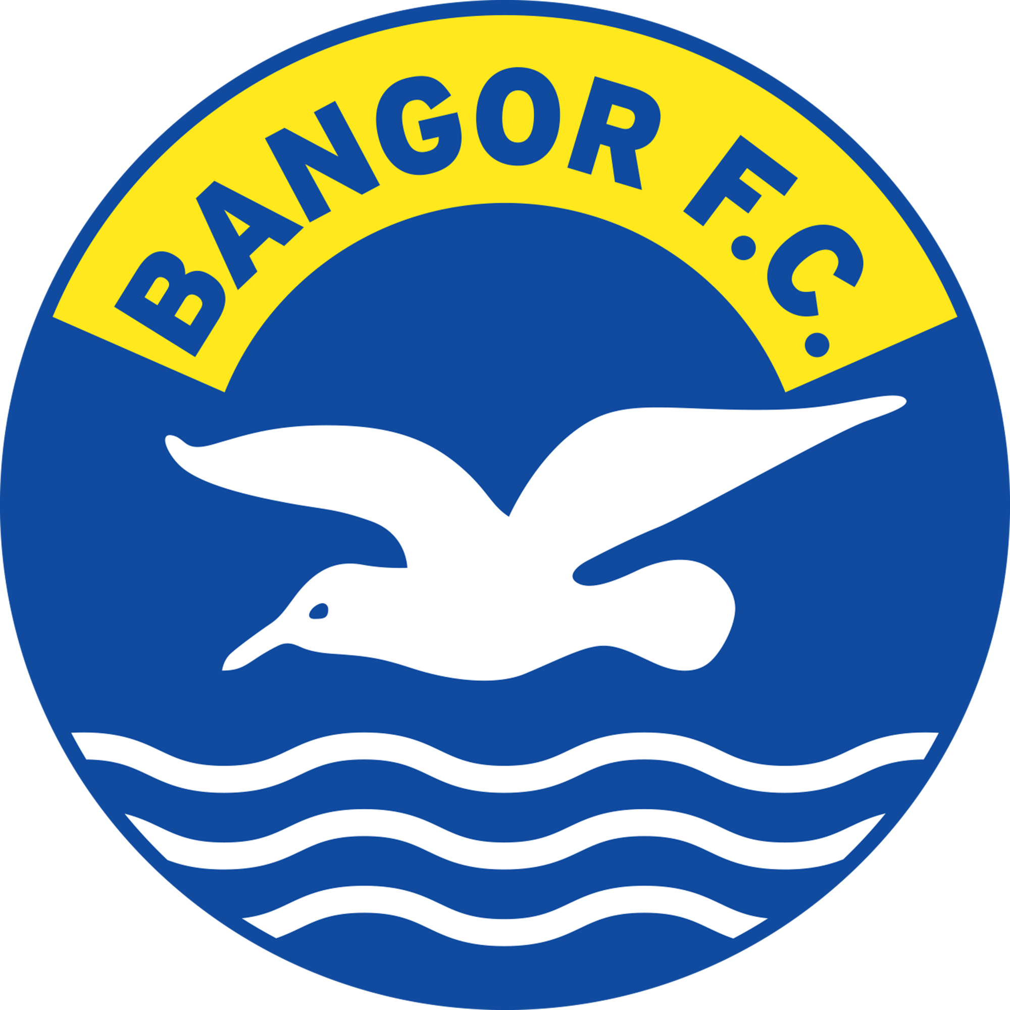 DSFC Logo